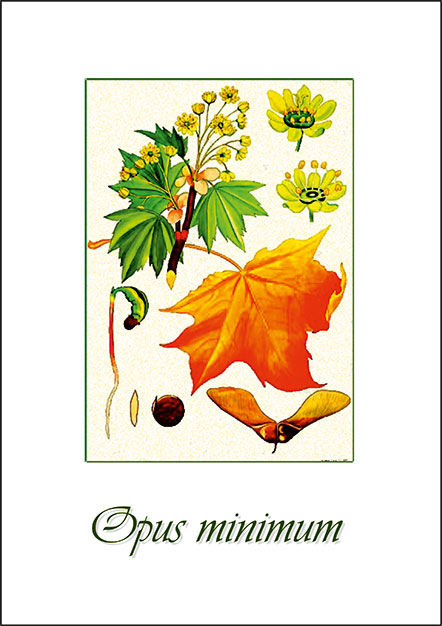 Opus minimum autunno 2012